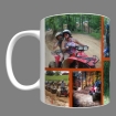 Pictures of Haspin Acres on Mug with orange dividers